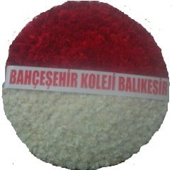 Antkabir mozele iei elengi fiyatlar Ankara iekileri iek sat