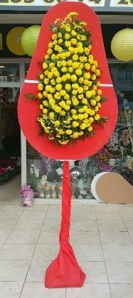 Ucuz Dn Nikah Al iei Tek Katl Ankara iekileri iekiler