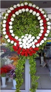 Cenaze elenk iei modeli kaliteli taze ve ucuz iekler Ankara iekileri iek sat